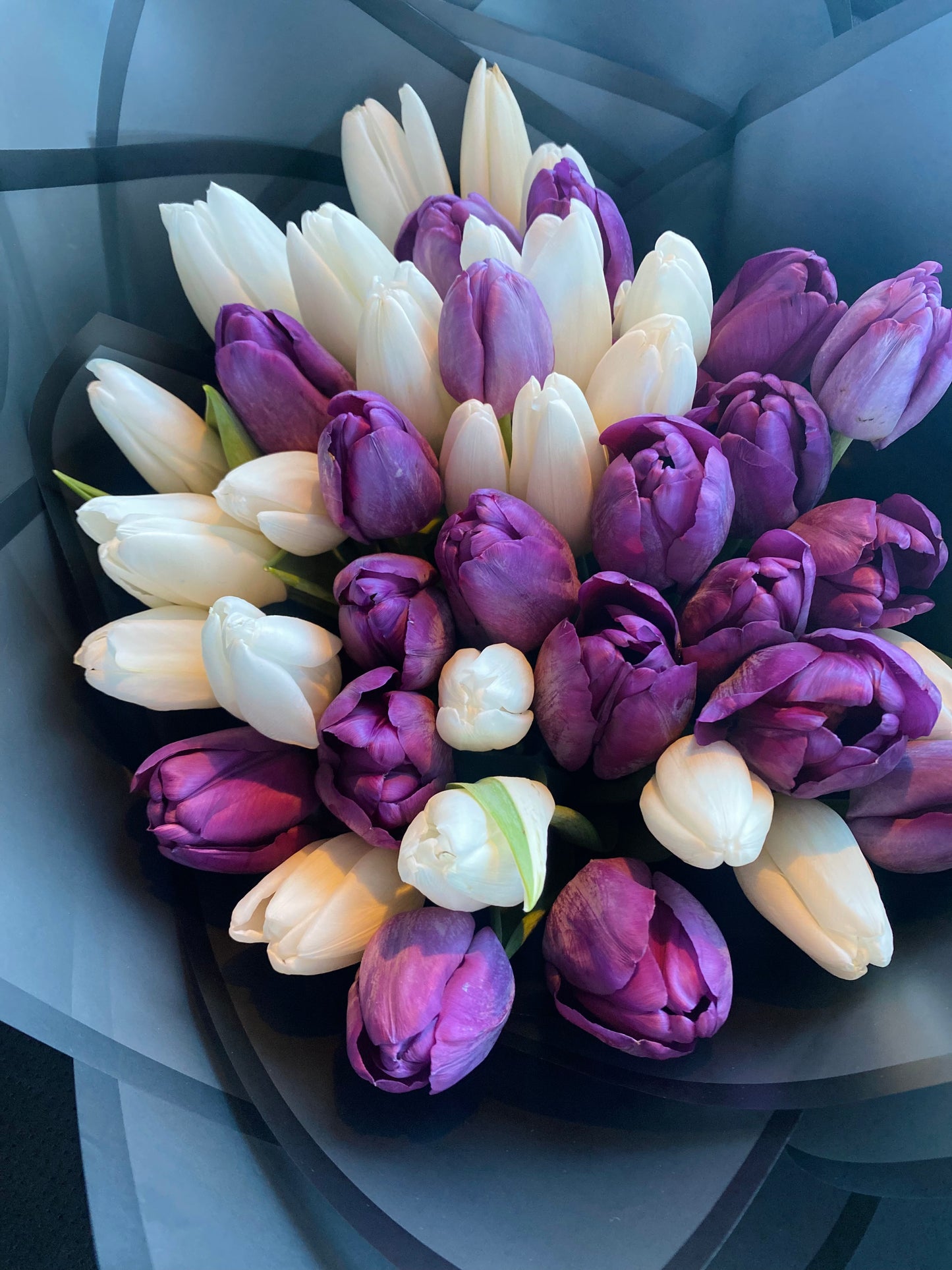 Tulip Bouquet